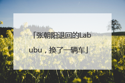 张朝阳退回的Labubu，换了一辆车