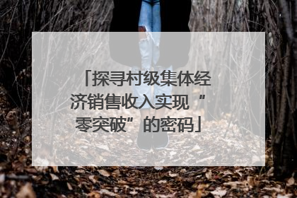 探寻村级集体经济销售收入实现“零突破”的密码