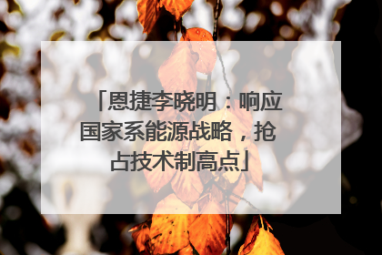 恩捷李晓明：响应国家系能源战略，抢占技术制高点