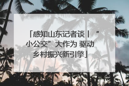 感知山东记者谈丨“小公交”大作为 驱动乡村振兴新引擎