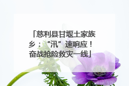 慈利县甘堰土家族乡：“汛”速响应！奋战抢险救灾一线
