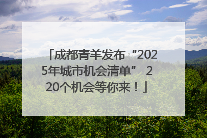 成都青羊发布“2025年城市机会清单” 220个机会等你来！