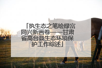 执生态之笔绘绿富同兴新画卷——甘肃省高台县生态环境保护工作综述