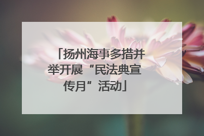 扬州海事多措并举开展“民法典宣传月”活动