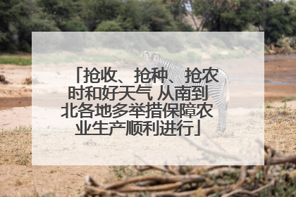抢收、抢种、抢农时和好天气 从南到北各地多举措保障农业生产顺利进行