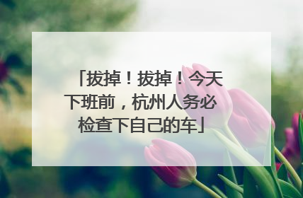 拔掉！拔掉！今天下班前，杭州人务必检查下自己的车