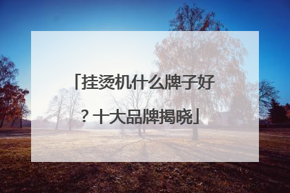挂烫机什么牌子好？十大品牌揭晓