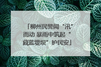 柳州民警闻“汛”而动 暴雨中筑起“藏蓝堤坝”护民安