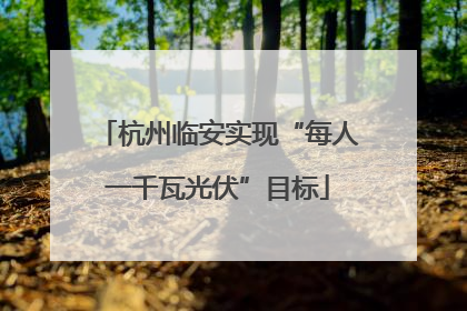 杭州临安实现“每人一千瓦光伏”目标