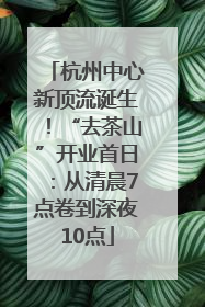 杭州中心新顶流诞生！“去茶山”开业首日：从清晨7点卷到深夜10点
