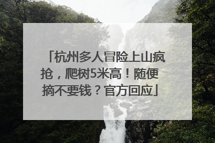 杭州多人冒险上山疯抢，爬树5米高！随便摘不要钱？官方回应