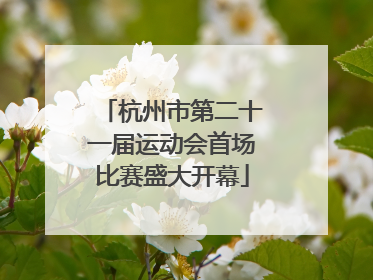 杭州市第二十一届运动会首场比赛盛大开幕