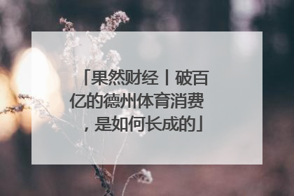 果然财经丨破百亿的德州体育消费，是如何长成的