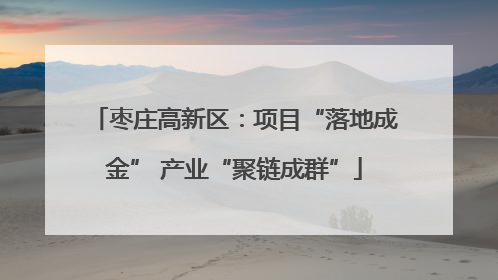 枣庄高新区：项目“落地成金” 产业“聚链成群”