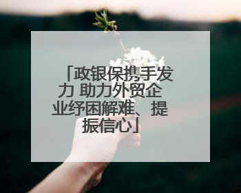 政银保携手发力 助力外贸企业纾困解难、提振信心