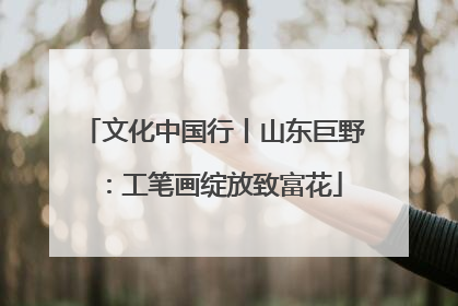 文化中国行丨山东巨野：工笔画绽放致富花