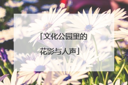 文化公园里的花影与人声