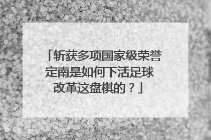 斩获多项国家级荣誉 定南是如何下活足球改革这盘棋的？