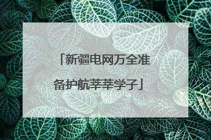 新疆电网万全准备护航莘莘学子