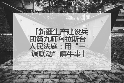 新疆生产建设兵团第九师乌拉斯台人民法庭：用“三调联动”解牛事