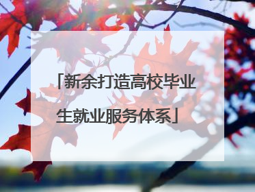 新余打造高校毕业生就业服务体系