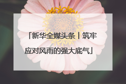 新华全媒头条丨筑牢应对风雨的强大底气