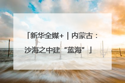 新华全媒+｜内蒙古：沙海之中建“蓝海”