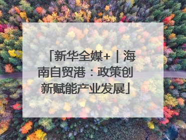 新华全媒+｜海南自贸港：政策创新赋能产业发展