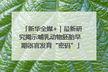 新华全媒+｜最新研究揭示哺乳动物胚胎早期器官发育“密码”