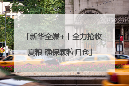 新华全媒+丨全力抢收夏粮 确保颗粒归仓