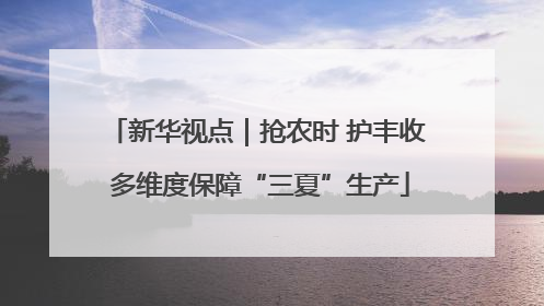 新华视点｜抢农时 护丰收 多维度保障“三夏”生产