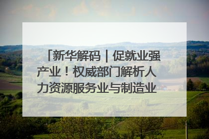 新华解码｜促就业强产业！权威部门解析人力资源服务业与制造业融合发展试点