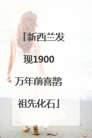新西兰发现1900万年前喜鹊祖先化石