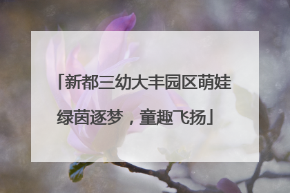 新都三幼大丰园区萌娃绿茵逐梦，童趣飞扬