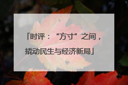 时评：“方寸”之间，撬动民生与经济新局