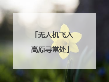 无人机飞入高原寻常处