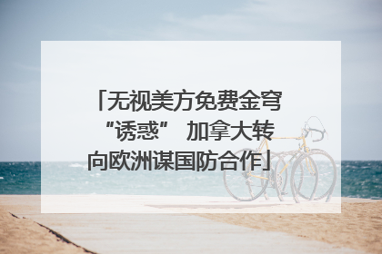 无视美方免费金穹“诱惑” 加拿大转向欧洲谋国防合作