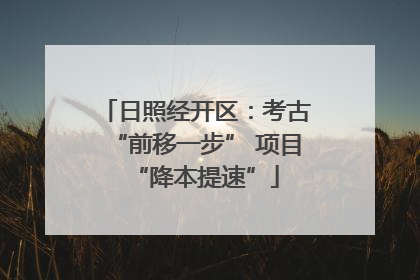 日照经开区：考古“前移一步” 项目“降本提速”