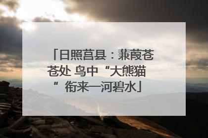 日照莒县：蒹葭苍苍处 鸟中“大熊猫”衔来一河碧水