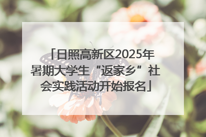 日照高新区2025年暑期大学生“返家乡”社会实践活动开始报名