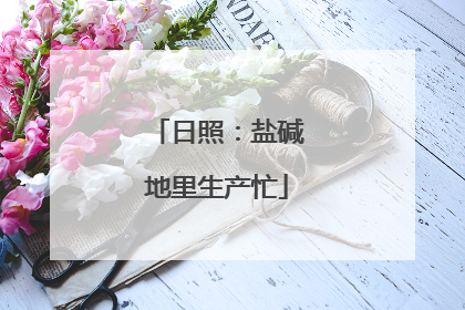 日照：盐碱地里生产忙