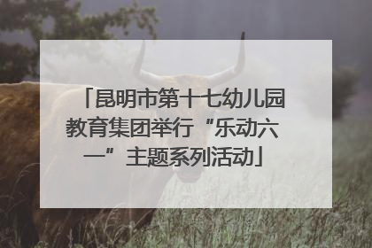 昆明市第十七幼儿园教育集团举行“乐动六一”主题系列活动