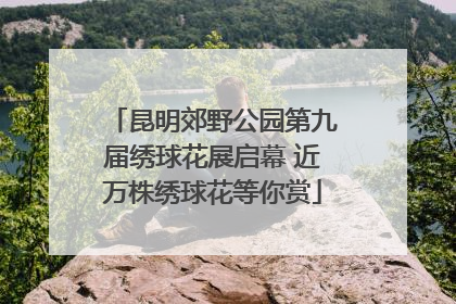 昆明郊野公园第九届绣球花展启幕 近万株绣球花等你赏