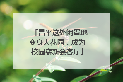 昌平这处闲置地变身大花园，成为校园崭新会客厅