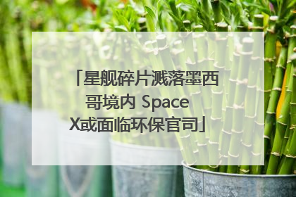 星舰碎片溅落墨西哥境内 SpaceX或面临环保官司