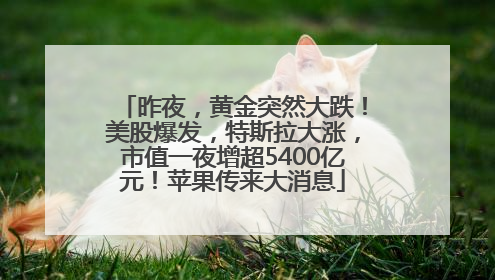 昨夜，黄金突然大跌！美股爆发，特斯拉大涨，市值一夜增超5400亿元！苹果传来大消息