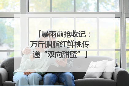 暴雨前抢收记：万斤胭脂红鲜桃传递“双向甜蜜”