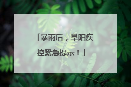 暴雨后，阜阳疾控紧急提示！