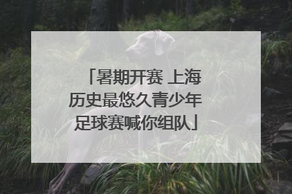 暑期开赛 上海历史最悠久青少年足球赛喊你组队