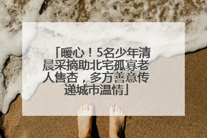 暖心！5名少年清晨采摘助北宅孤寡老人售杏，多方善意传递城市温情
